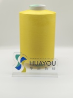 Filament de Nylon 66 Antistatique DTY Anti-boulochage Haute Ténacité S Twist Sans Couture Tricotage à la Main Vêtements de Sport Fil Fantaisie 100% Nylon