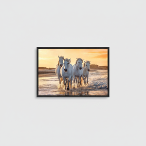 White Horses on Beach Canvas Print - Sunset Pop Art,<b>BLACK</b> <b>FRAMED</b> CANVAS - Product Image 2