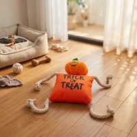 Nouveauté : Jouets en peluche pour chien Halloween, jouets durables pour nettoyer les dents, corde à nœuds pour chiens et chats