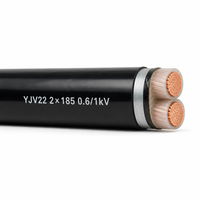 Câble d'alimentation blindé en cuivre à grande section YJV22 0.6/1kV 2 conducteurs 185mm² 300mm² isolé XLPE pour courant élevé 2*185