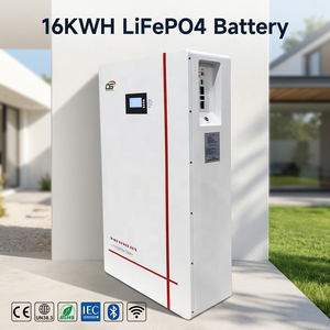 Paquete de Baterías Solares BG01 de 51.2v 100ah para Vehículos Eléctricos y E-Rickshaws, Sistema de Almacenamiento de Energía Doméstica de 10kwh Bess - Product Image 1