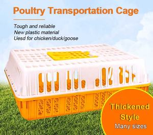 Jaula para Gallos de Pelea, Jaula para Huevos de Gallina, Jaula para Gallinas Ponedoras, de Alta Calidad y Bajo Precio, Fabricada en China - Product Image 3