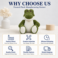 Peluche personnalisée en forme de crocodile, jouet en coton PP doux, animal en peluche brodé, cadeau d'anniversaire