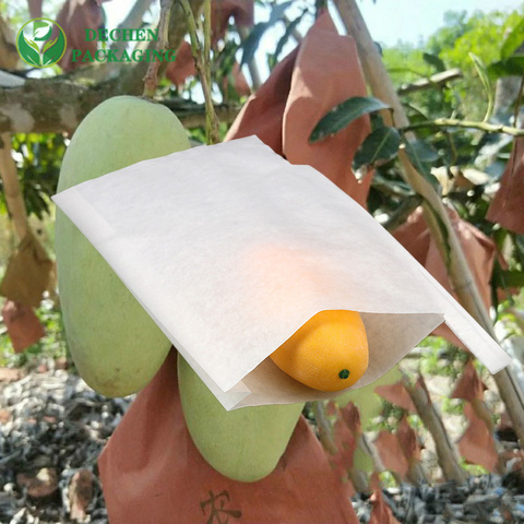 Sri Lanka Mango Fruit Protection Bags Sri Lanka Mango Fruit Protection Bags