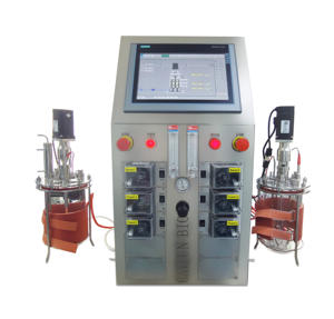 Biorreactor de Laboratorio BLBIO-XGC-2 para Cultivo Líquido, Tanque de Fermentación de Doble Vidrio con Agitación Magnética, Enzima Transglutaminasa, Amilasa - Product Image 2