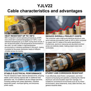 Câble en aluminium YJLV22, blindé avec bande d'acier STA, isolation XLPE 0,6/1 kV, gaine en PVC, câble d'alimentation - Product Image 5