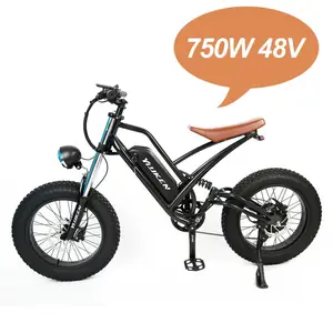 48v 750w Ebike 20英寸便携式电动自行车7速城市道路成人折叠电动自行车折叠自行车ebike摩托车