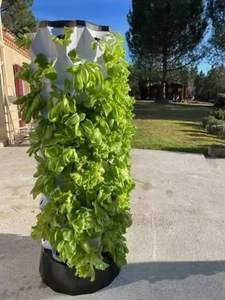 Torre hidropónica al aire libre Hidroponia Cultivo De Torre Sistema hidropónico de jardín Sistema Microgreen con luz de cultivo - Product Image 4