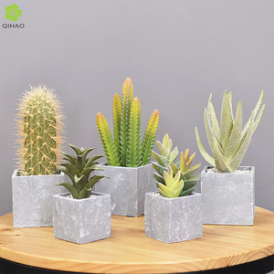 QIHAO Plantas Tropicales Artificiales, Suculentas en Maceta, Alta Simulación, Decoración para el Hogar - Product Image 1