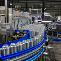 Verse fruitsoda dranken 300ML blikjes bruisend suikervrij sap smaken OEM frisdrank fabrikant aangepaste label drank