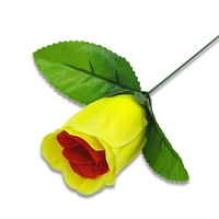 Roses décolorées (rouge change en jaune) Trucs de magie avec les roses Changement de couleur des roses pour la Saint-Valentin Trucs de magie avec les fleurs Jouets amusants