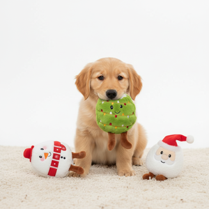<span class=keywords><strong>Jouet</strong></span> en peluche <span class=keywords><strong>de</strong></span> Noël <span class=keywords><strong>pour</strong></span> <span class=keywords><strong>chien</strong></span> - Motifs Père Noël, Bonhomme <span class=keywords><strong>de</strong></span> neige, Renne, Sapin <span class=keywords><strong>de</strong></span> Noël avec couineur <span class=keywords><strong>pour</strong></span> chiens - Product Image 1