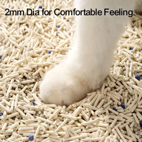 Litière pour chat en tofu en gros, biodégradable, agglomérante, sans poussière, contrôle naturel des odeurs, marque privée OEM