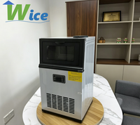 Machine à glaçons professionnelle WICE Ice Factory 50 kg
