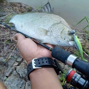 Señuelo Suave de TPR 8cm Flotante Cola en T Bicolor Gusano Larva Paquete de 6 para Pesca de Atún Salmón en Río Silenciador de Bebé para Exportación - Product Image 4