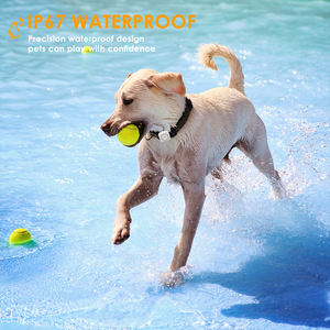 IP67 водонепроницаемый пластиковый <span class=keywords><strong>GPS</strong></span>-локатор для собак с забором, 4G сеть, система мониторинга здоровья домашних животных - Product Image 5