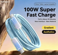 Câble de charge rapide USB-Type-C 100W OEM/ODM directement de l'usine, 1M, prise transparente, haute durabilité