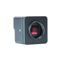 Factory Supply Factory Lightweight Mini Microscope Camera Driver-free for School Education Science Lab