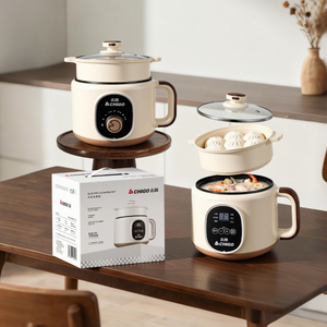 Casserole électrique instantanée YUEDISI avec prise personnalisée, 18 cm, 450 W, contrôle manuel, cuisson, poêles électriques antiadhésives - Product Image 1