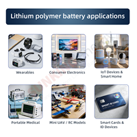 Литиевая батарея 7.4V 6600mAh 2S3P NMC 18650, 48.84Wh, широкий температурный диапазон -10~60°C ℃   Для портативных устройств: аварийное питание