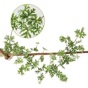 Pianta Artificiale Elegante Succulenta con Etichetta Personalizzata Fiori Artificiali Resistenti ai Raggi UV Realistici per Fotografia Scaffale a Muro in Rattan - Product Image 2