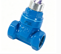 Vanne de clôture manuelle en laiton verrouillable, Vanne d'isolement pour compteur d'eau / Vanne de pré-compteur, Raccord fileté femelle, PN16, 1/2in-2in, OEM