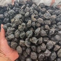 Vente en gros de prunes fumées séchées de haute qualité Faire une prune aigre fruits secs chinois Wu mei Accepter OEM