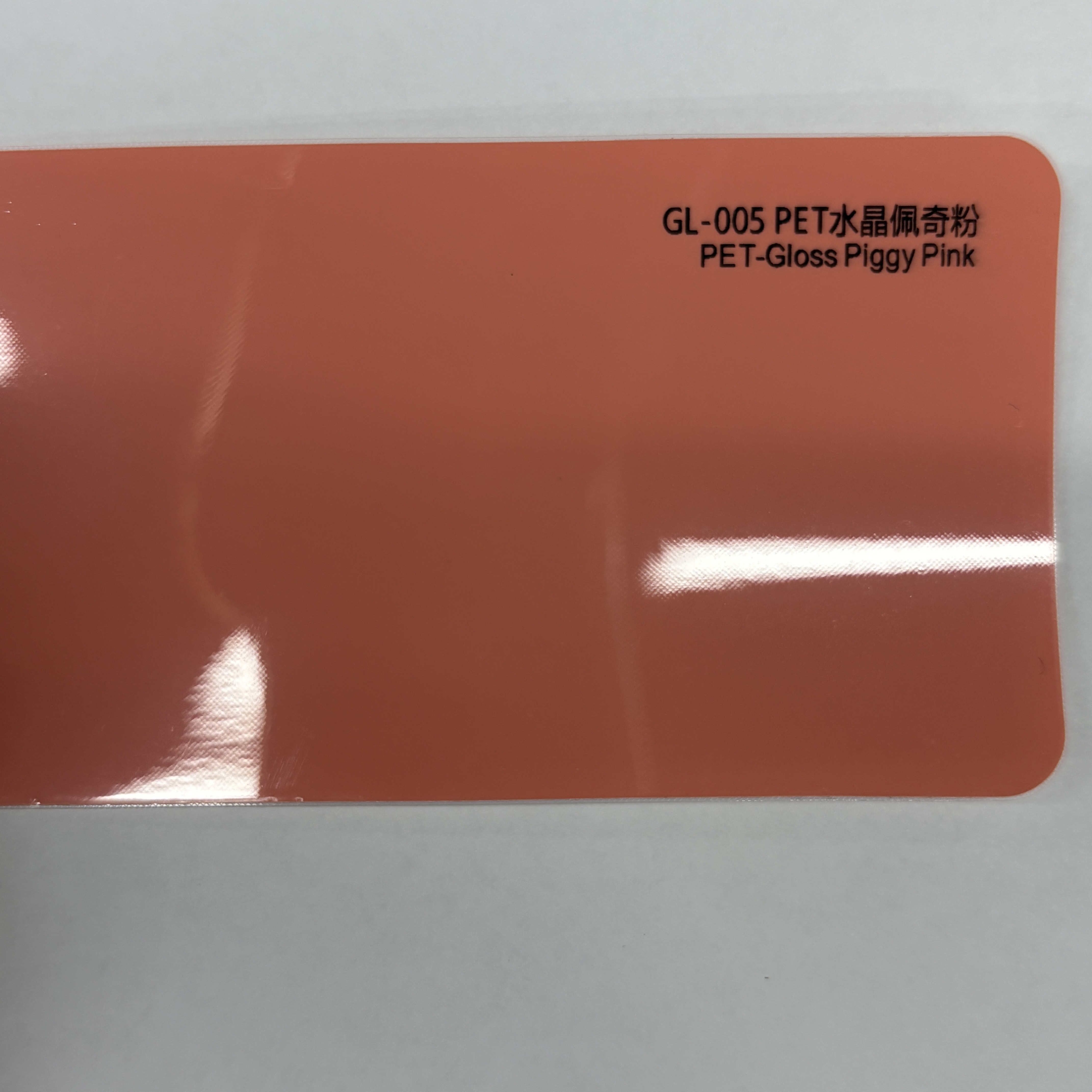 PET-Gloss Piggy Rose
