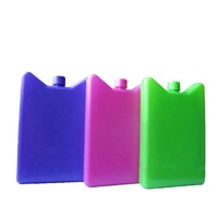 Boîte de sac de glace de logo personnalisable de vente directe d'usine pour le voyage et les pique-niques différentes formes disponibles