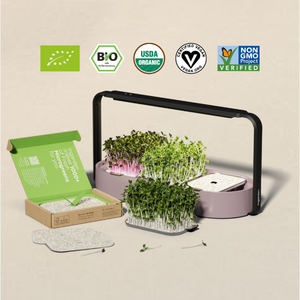 Système de culture hydroponique automatique Microgreen Kit horizontal Smart Garden Garden Kit de culture <span class=keywords><strong>d</strong></span>'herbes <span class=keywords><strong>d</strong></span>'<span class=keywords><strong>intérieur</strong></span> <span class=keywords><strong>D</strong></span>écoration <span class=keywords><strong>d</strong></span>'<span class=keywords><strong>intérieur</strong></span> - Product Image 3