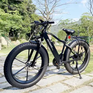 HOTEBIKE-bicicleta eléctrica de montaña, bici de gran potencia, neumático ancho, 26x4,0, 500W, 750W, 1000W, 2000W, con CE