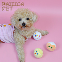 Lot de jouets pour chiens en TPR avec balles couineuses, formes de tennis, baseball et caoutchouc, pour petits chiens, pour le jeu et le rapport