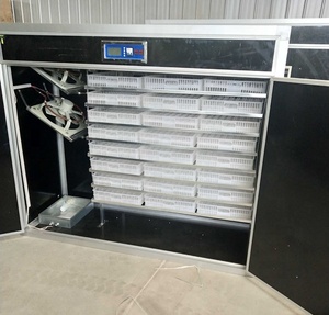 Fábrica de vender 1000/3000 ovos de codorna incubadora Dezhou preço no nepal - Product Image 5