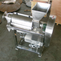 Machine Om Vruchtensap Ananassap Te Maken Machine Juicer Machine Voor Sap