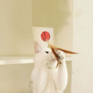 Juguete Educativo Ecológico para Gatos, Pelota con Plumas y Goma, Diseño Interactivo Moderno - Product Image 4