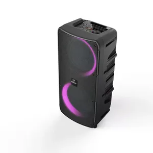 Boîte à son pour karaoké à domicile double 25w Portable sans fil Audio scène/<span class=keywords><strong>DJ</strong></span> haut-parleur extérieur - Product Image 5