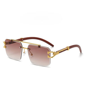 Nouvelle mode léopard lunettes de soleil carré rétro Vintage Double pont sans monture hommes femmes lunettes de soleil 2024 - Product Image 3