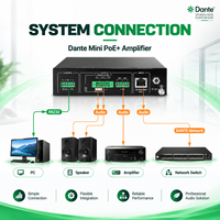 Amplificateur de puissance compact DQINFOS 2 canaux Dante Mini en métal, mixeur stéréo