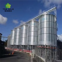 Silo Agricolo a Fondo a Tramoggia per Alimenti Zootecnici e Stoccaggio Grano, Capacità 100-2000 Tonnellate