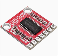 OEP30W Module de carte amplificateur numérique mono Kit d'amplificateur bricolage 30W Classe D Offre Spéciale