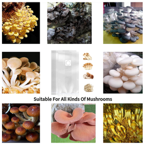 Tas bibit jamur budidaya jamur tas buah jamur tiram tas poli jerami Lods pertumbuhan jamur - Product Image 6