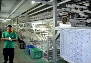 ถุงมือยางตรวจโรคแบบใช้แล้วทิ้ง ผลิตในมาเลเซีย ปราศจากแป้ง หนา 5 มิล ยาว 24 ซม. ขอบตัดเรียบ สำหรับงานทั่วไป - Product Image 5