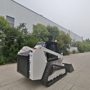 لودر صغير زاحف بحمولة 1.2 طن طراز WT1200T يعمل بالديزل بقوة 65 كيلوواط مع ضمان لمدة سنة - Product Image 5