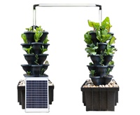 Solution de jardinage intérieur efficace et écologique Système hydroponique solaire double pour la maison avec jardinières