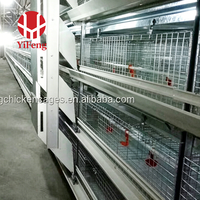 Cage à poulets de chair à 3 niveaux de type H avec plancher en plastique à lattes, alimentation et abreuvement automatiques, système d'évacuation du fumier, mangeoire pour poulets de chair, abreuvoir à tétine, OEM