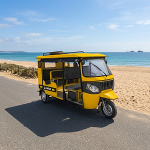 Tricycle de luxe à double rangée, moteur 250cc, idéal pour la location et le transport de passagers - Product Image 2