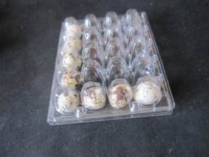 Bán Buôn 2 Hàng chục Chim Cút Pet Khay Trứng Nhựa Chim Cút Khay Trứng Nhà Sản Xuất 24 Chim Cút Khay Trứng - Product Image 5