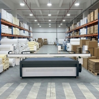 Automatische Oszillierende Klingen-Schneidemaschine mit Hoher Leistung für EVA-Schaum, Perlbaumwolle und EPE-Produktion