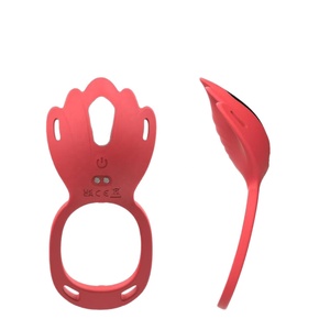 Nuovo Vibratore per Biancheria Intima USB Ricaricabile Rosso, Giocattoli Sessuali per Adulti per Donna, 9 Modalità di Vibrazione, Massaggiatore Stimolante - Product Image 2