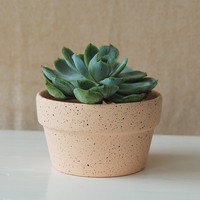 Pot Tanaman Sukulen/Kaktus Keramik/Tanah Liat Kecil Desain Modern, Sederhana, dan Kreatif untuk Dekorasi Meja dan Balkon
